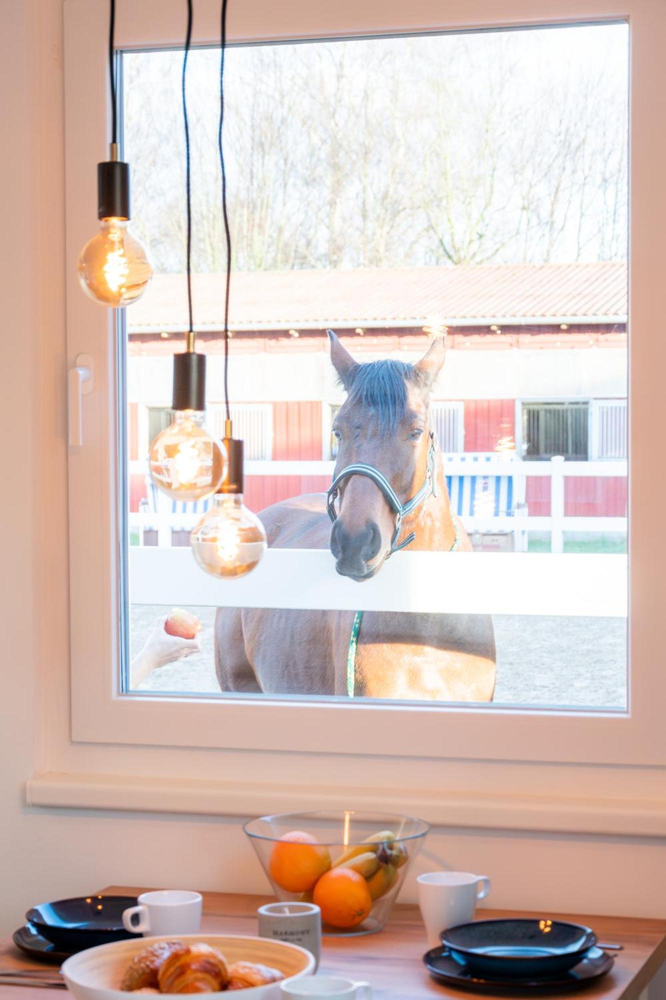 Ferienwohnungen Reiterhof Boltenhagen Kültér fotó